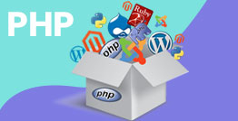 Partnering with a PHP Web Development Company in India for Long-Term Growth